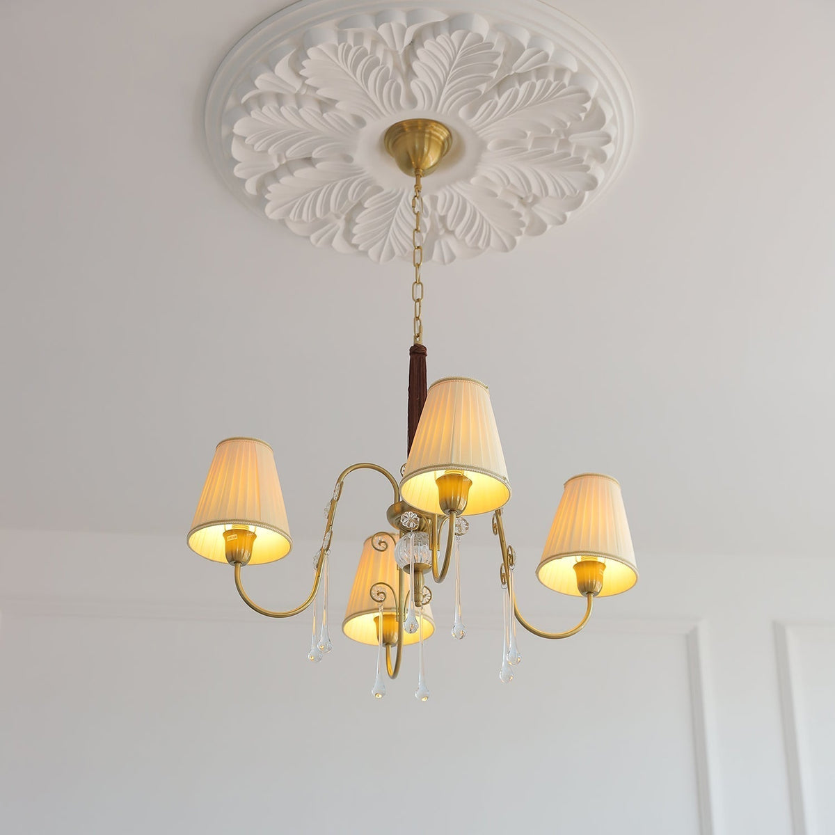 Mondia Lustre