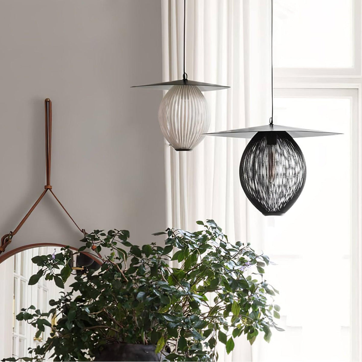 Soralenne Suspension