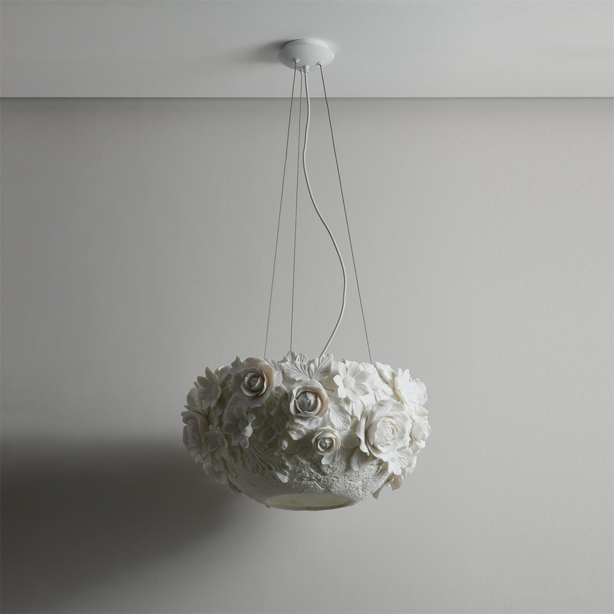 Liorineria Suspension