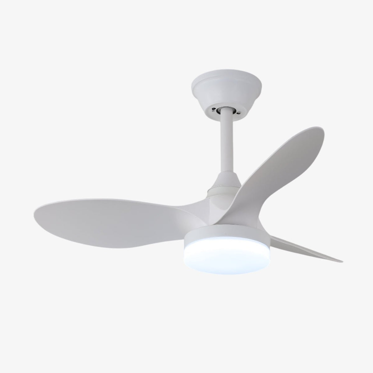 Aelric Ventilateur de Plafond avec Éclairage Moderne