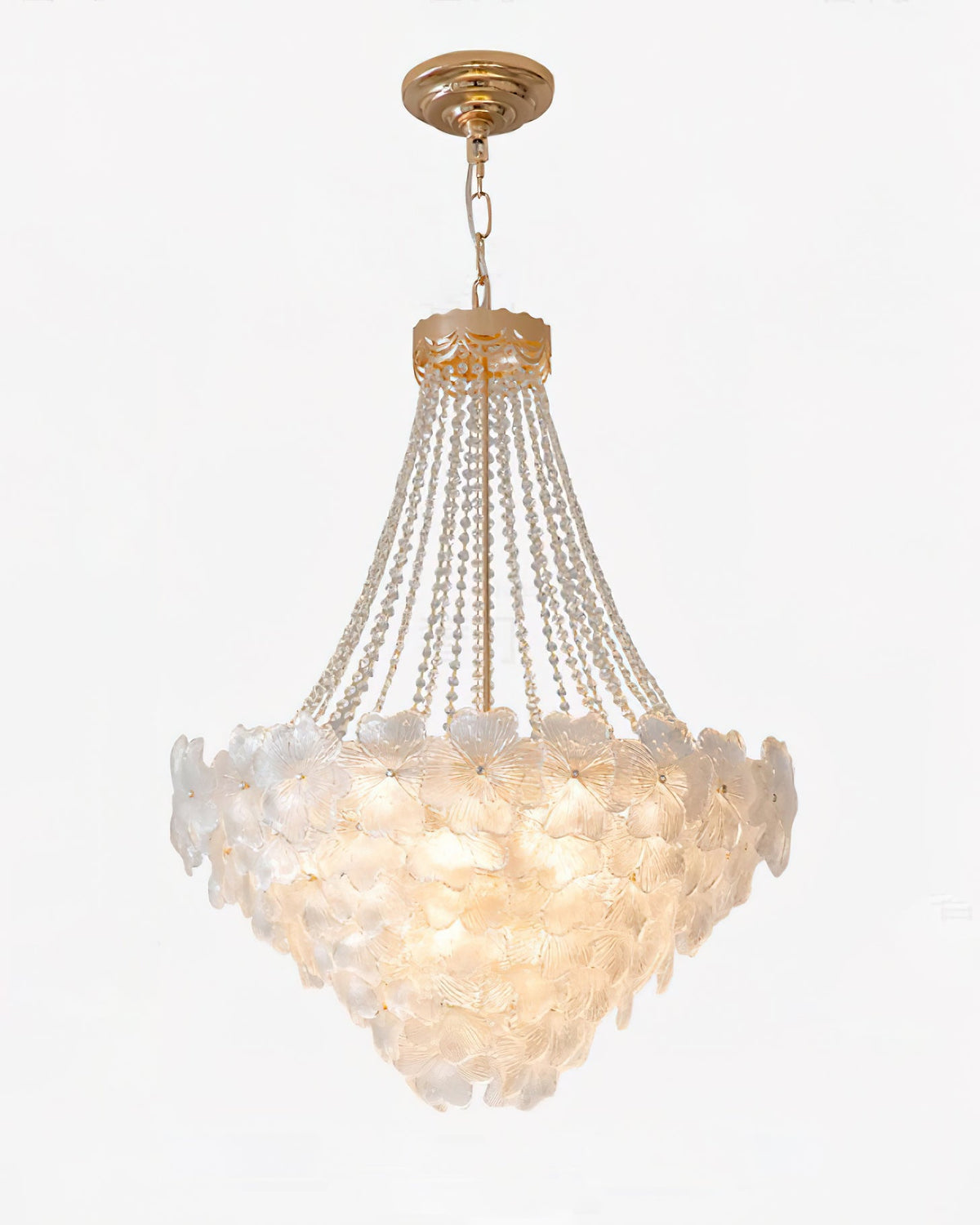 Soroiel Lustre