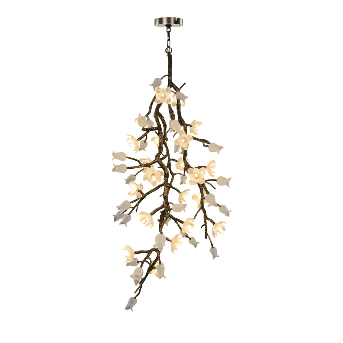 Fiorella Lustre