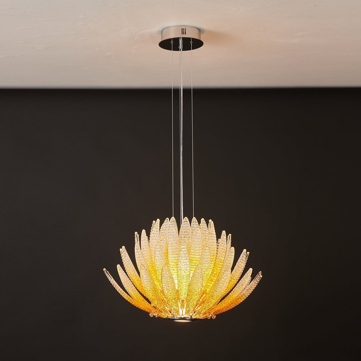Chrysant Lustre
