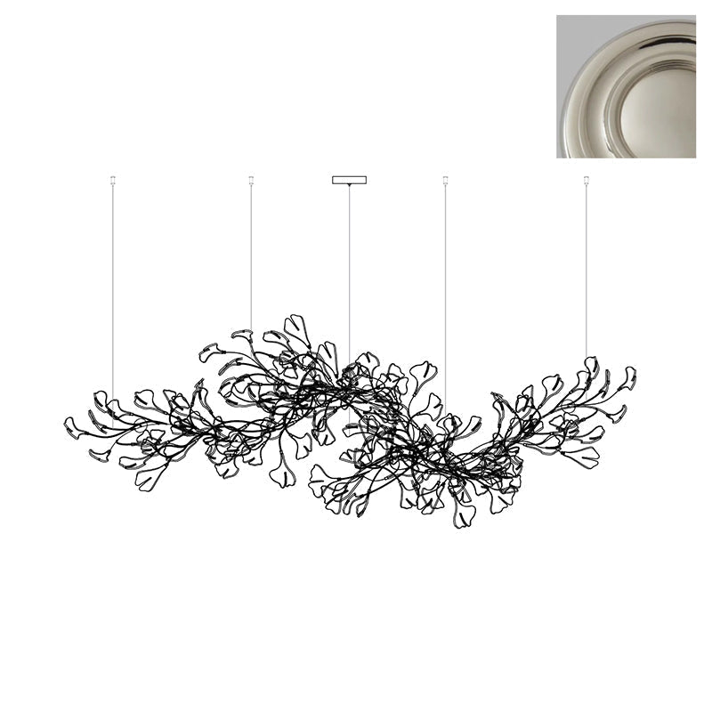 Oriane Lustre