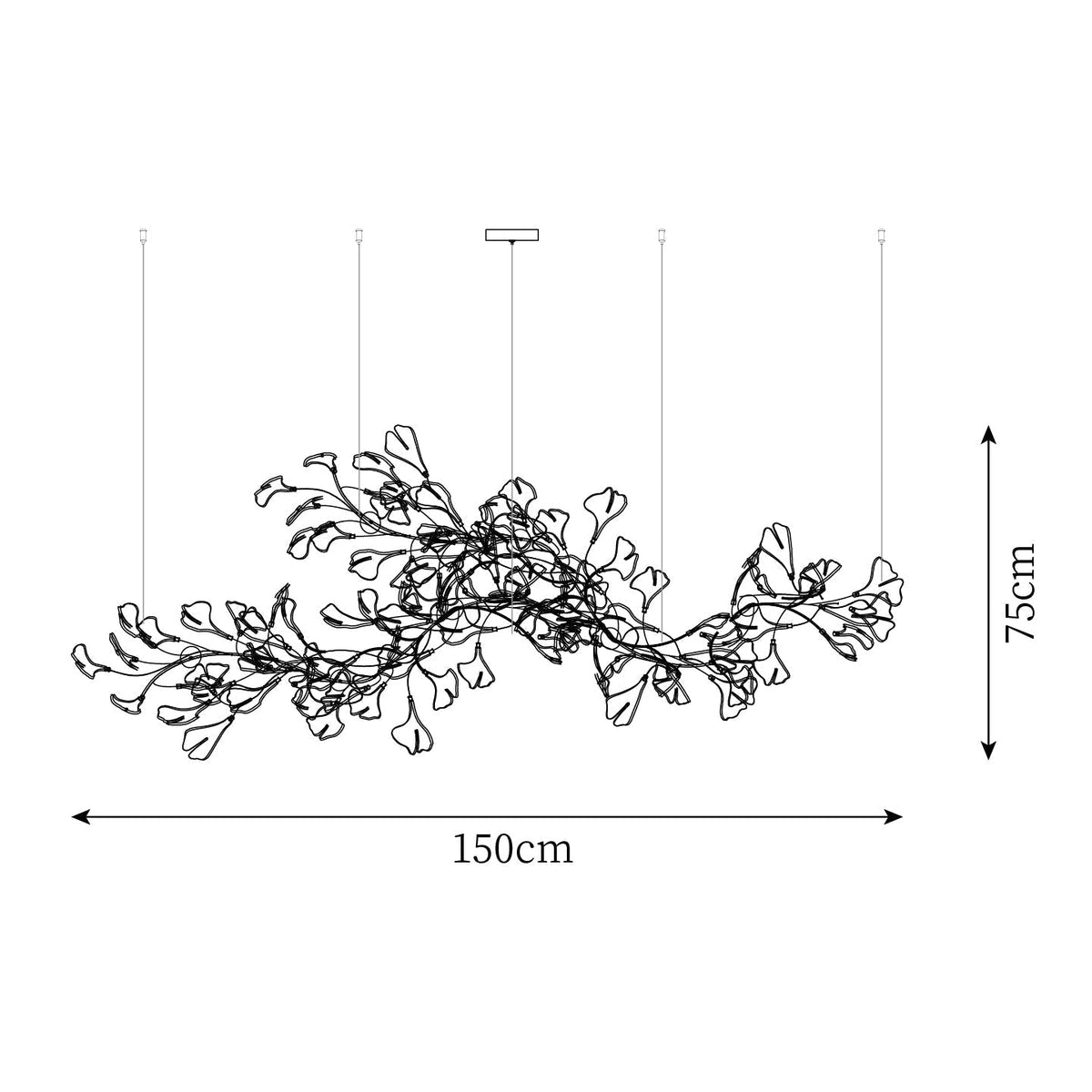 Oriane Lustre
