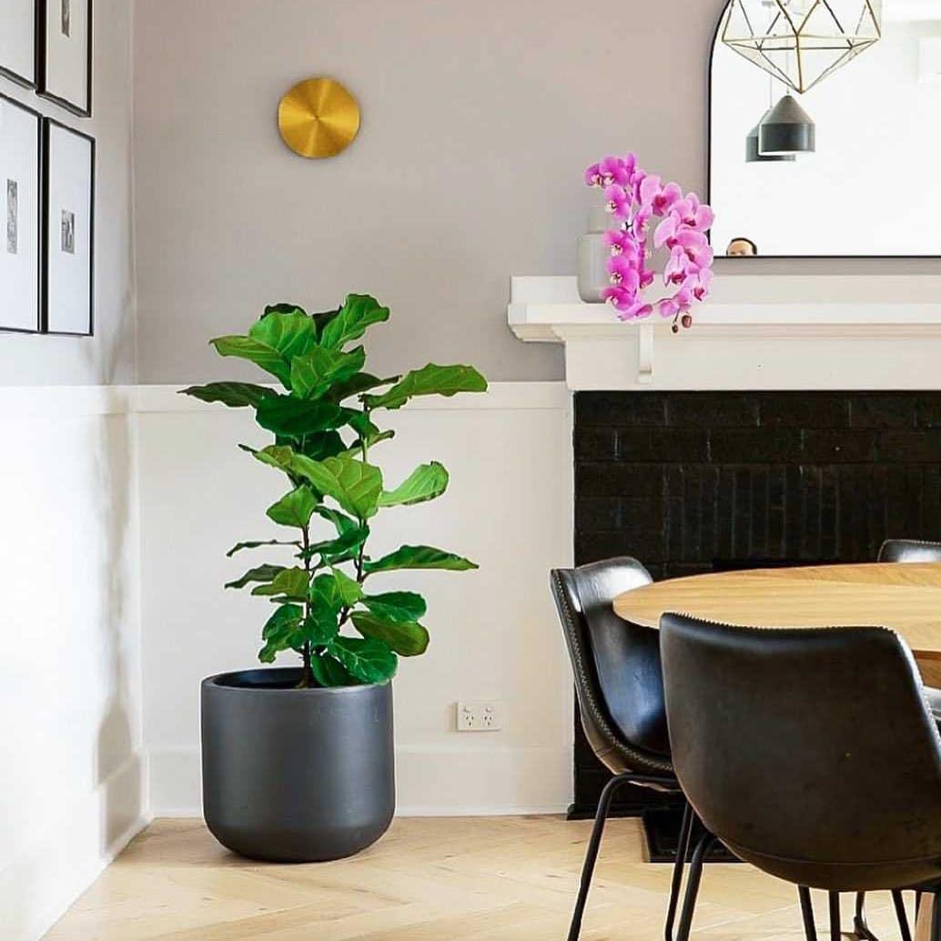 Teri Lampe Murale Minimaliste en Laiton-Cielum