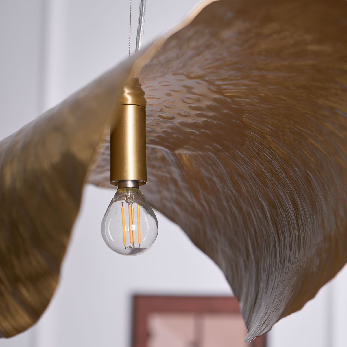 Dazen Suspension Minimaliste-Cielum