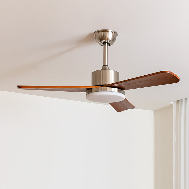 Close-up of the fan's mounting canopy and downrod.