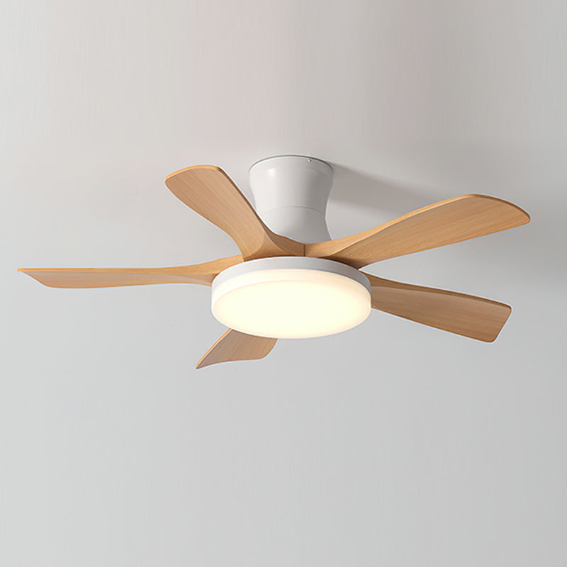 Hawthorne Ventilateur de Plafond avec Éclairage