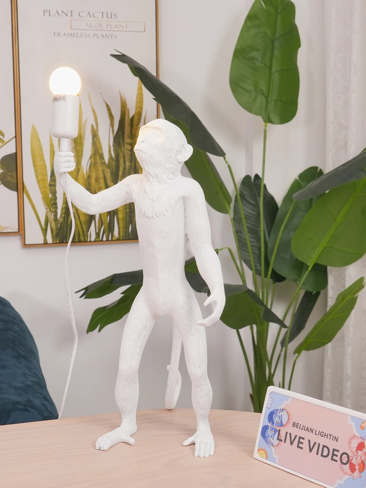 Velaeria Lampe de Table