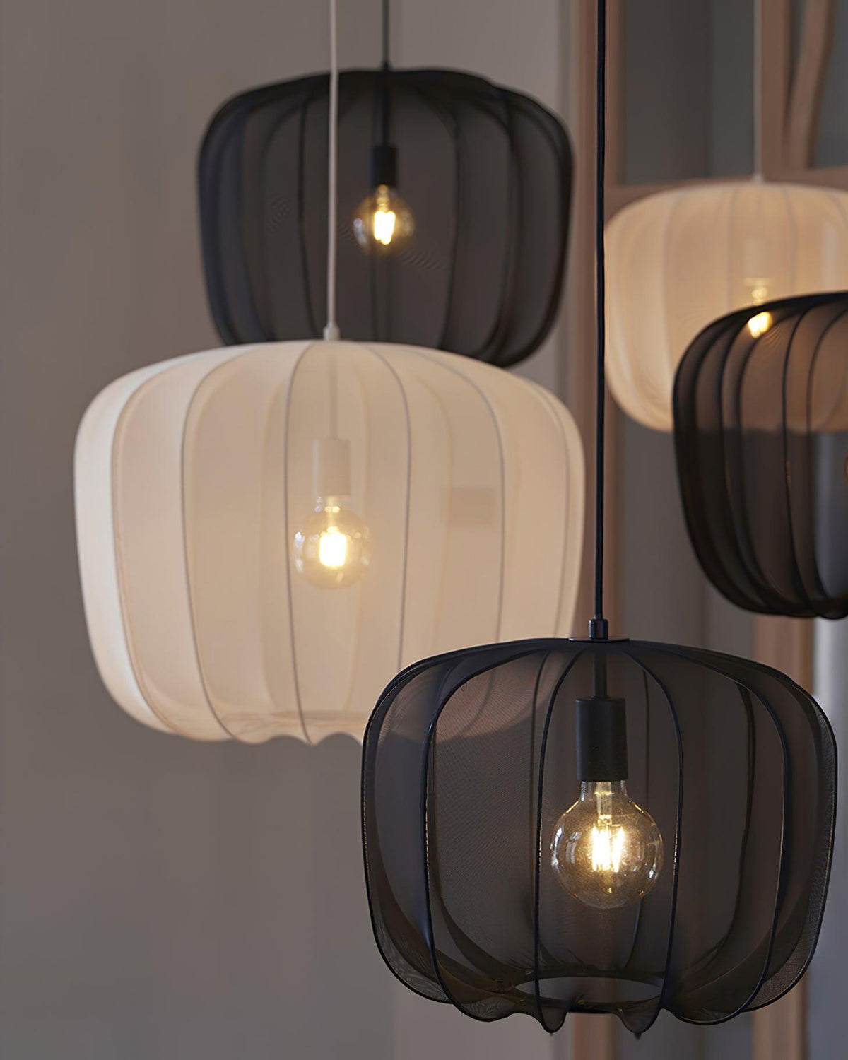 Placia Suspension