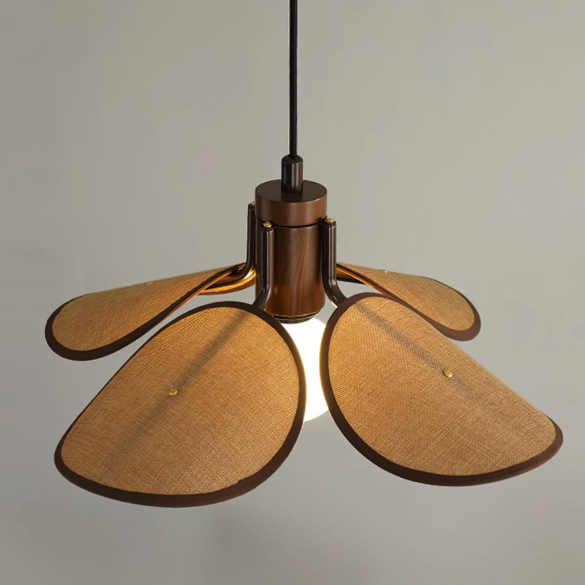 Polli Suspension