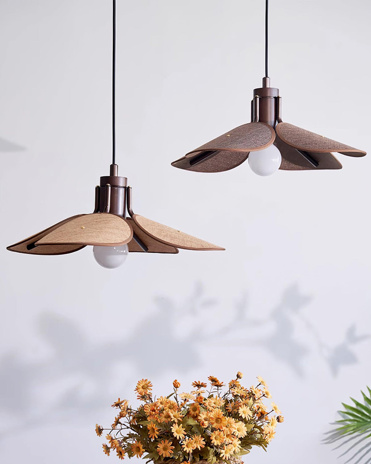 Polli Suspension