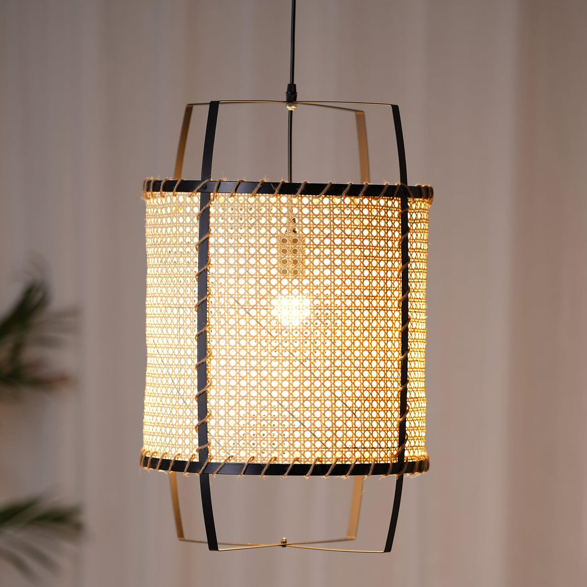 Bellia Suspension