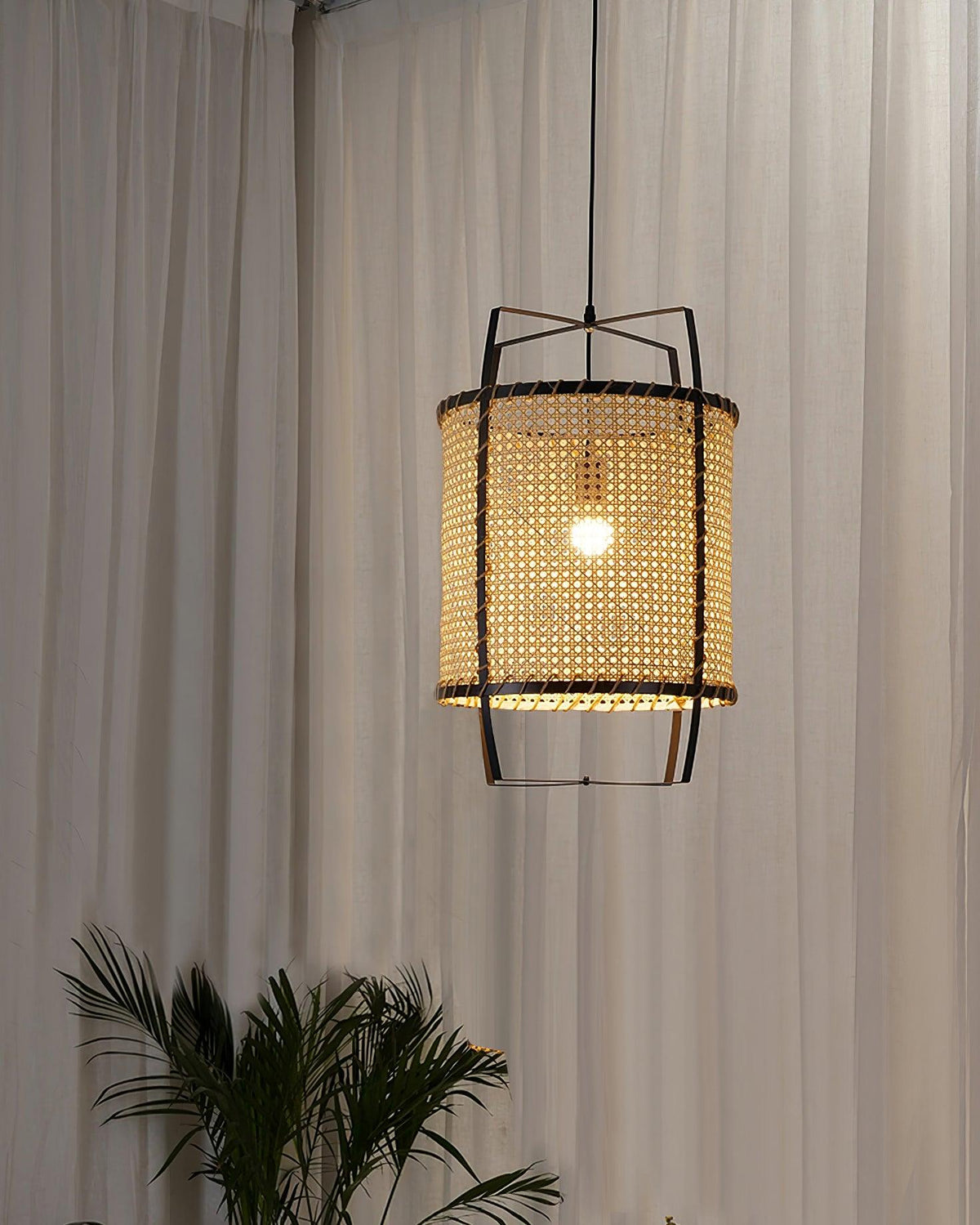 Bellia Suspension