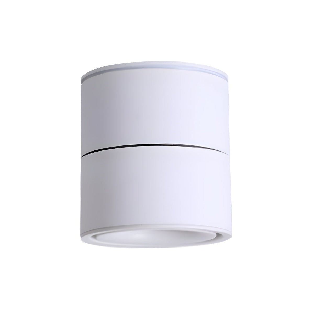Liro Plafonnier en aluminium, spot orientable et minimaliste-Cielum