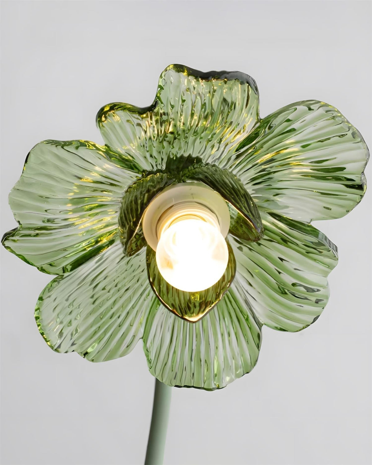 Velinella Lampe de Table