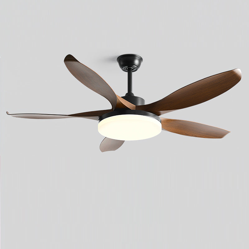 Liororeria Ventilateur de Plafond avec Éclairage