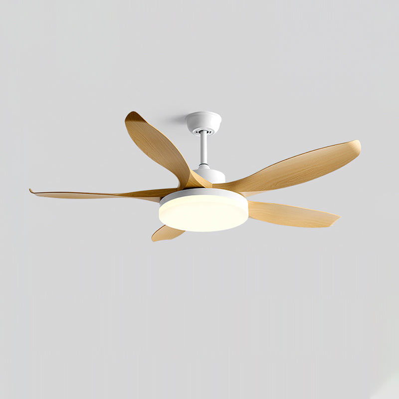 Lifestyle image of the walnut Splenda Ceiling Fan Light in a rustic-modern room.