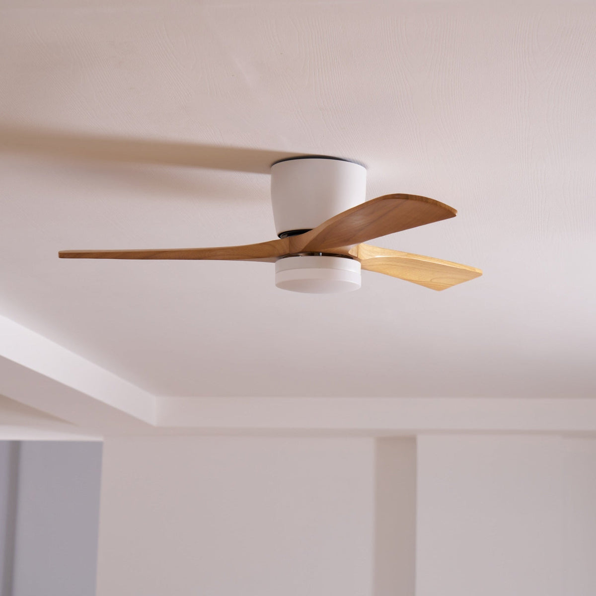 Miroise Ventilateur de Plafond avec Éclairage
