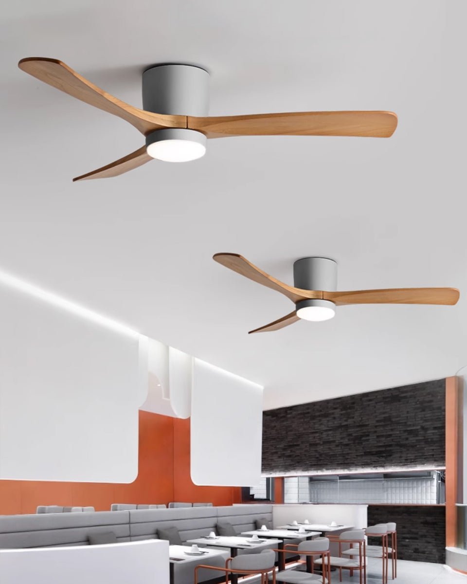 Miroise Ventilateur de Plafond avec Éclairage