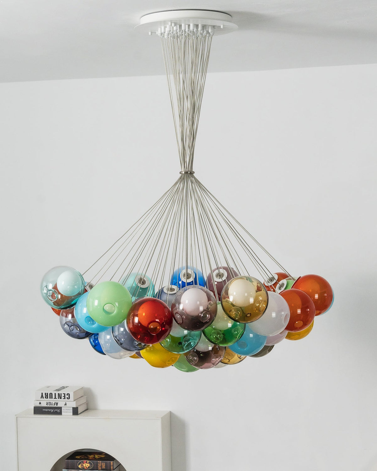 Calanthe Lustre