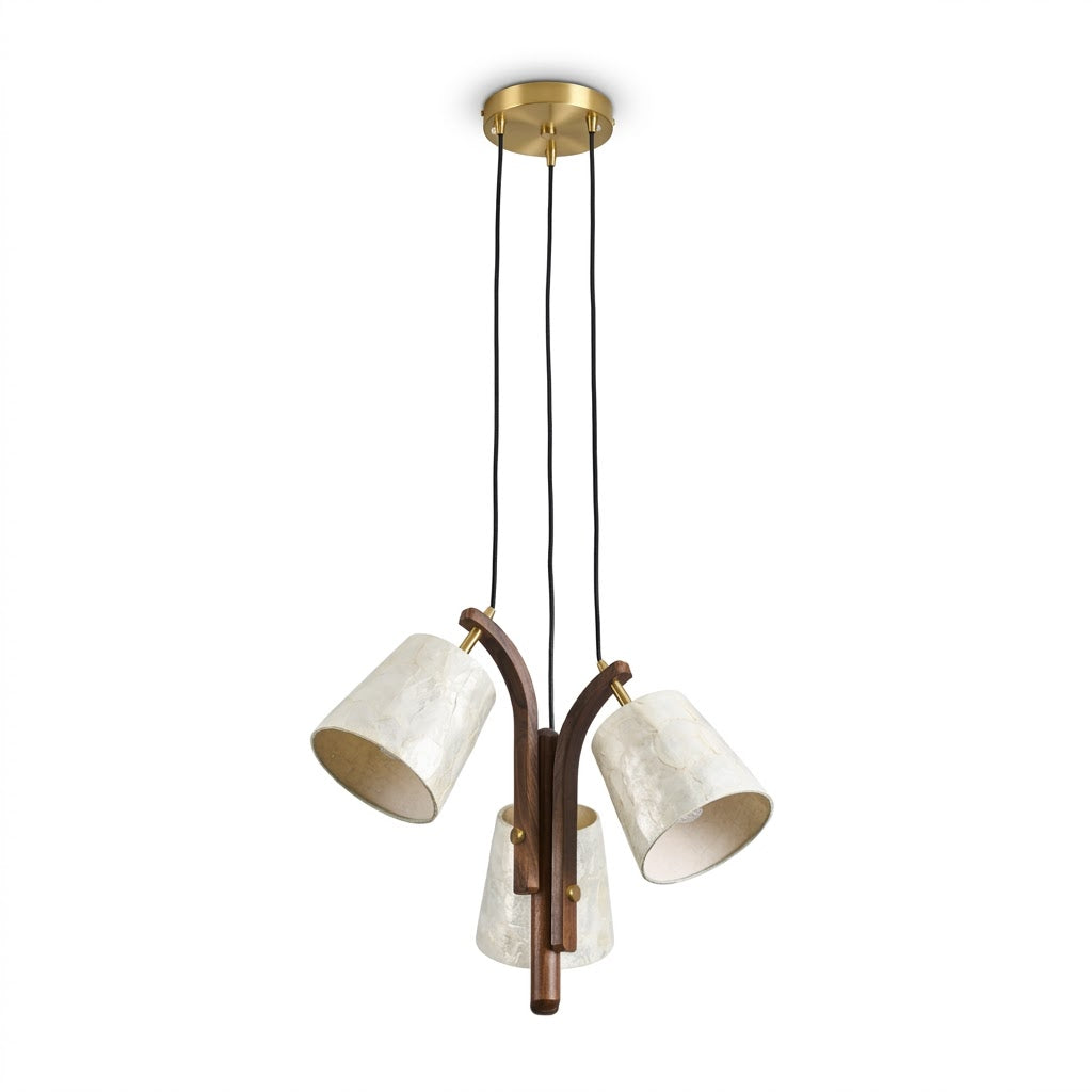 Lioraeria Suspension