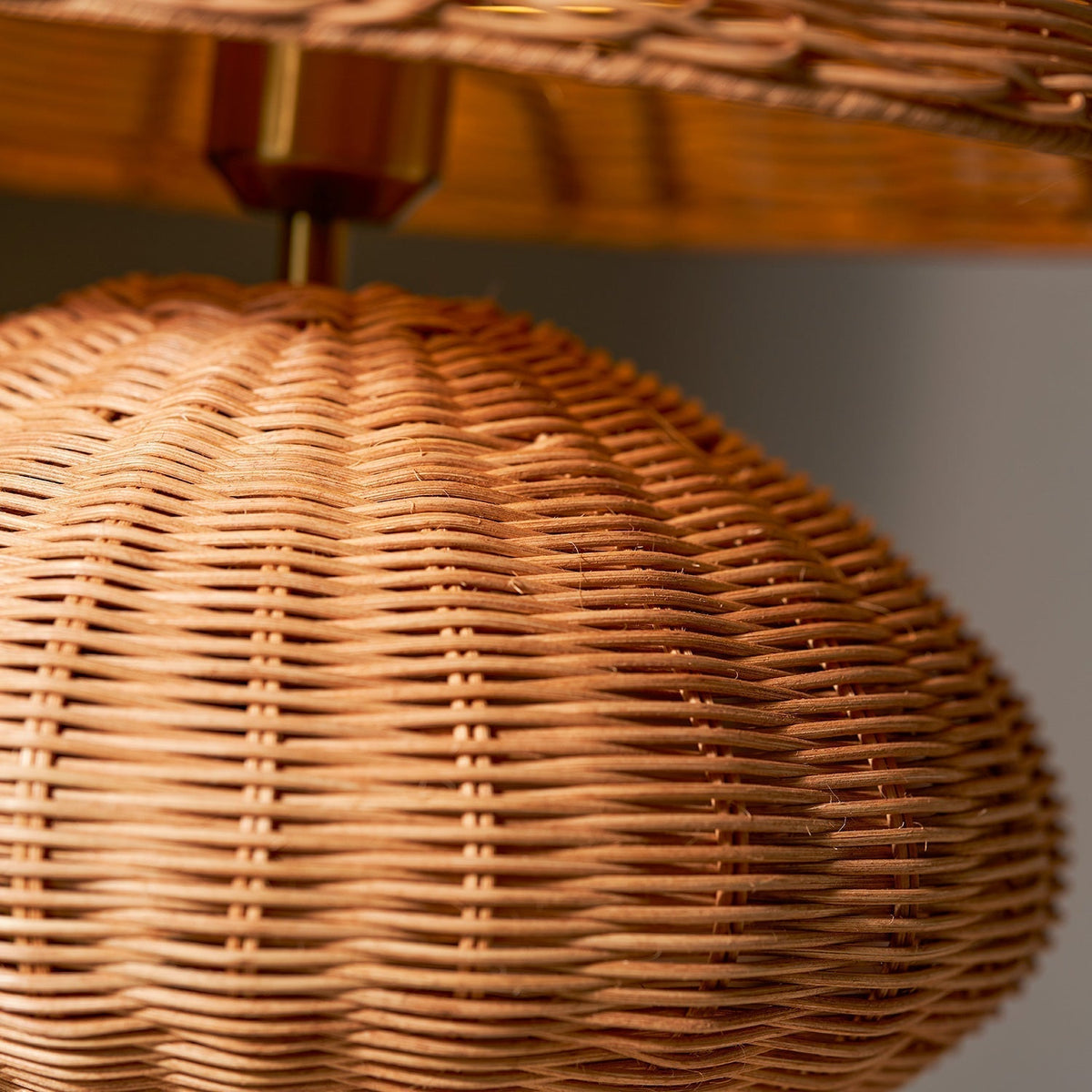 A low-angle shot emphasizing the lamp's organic form and base.