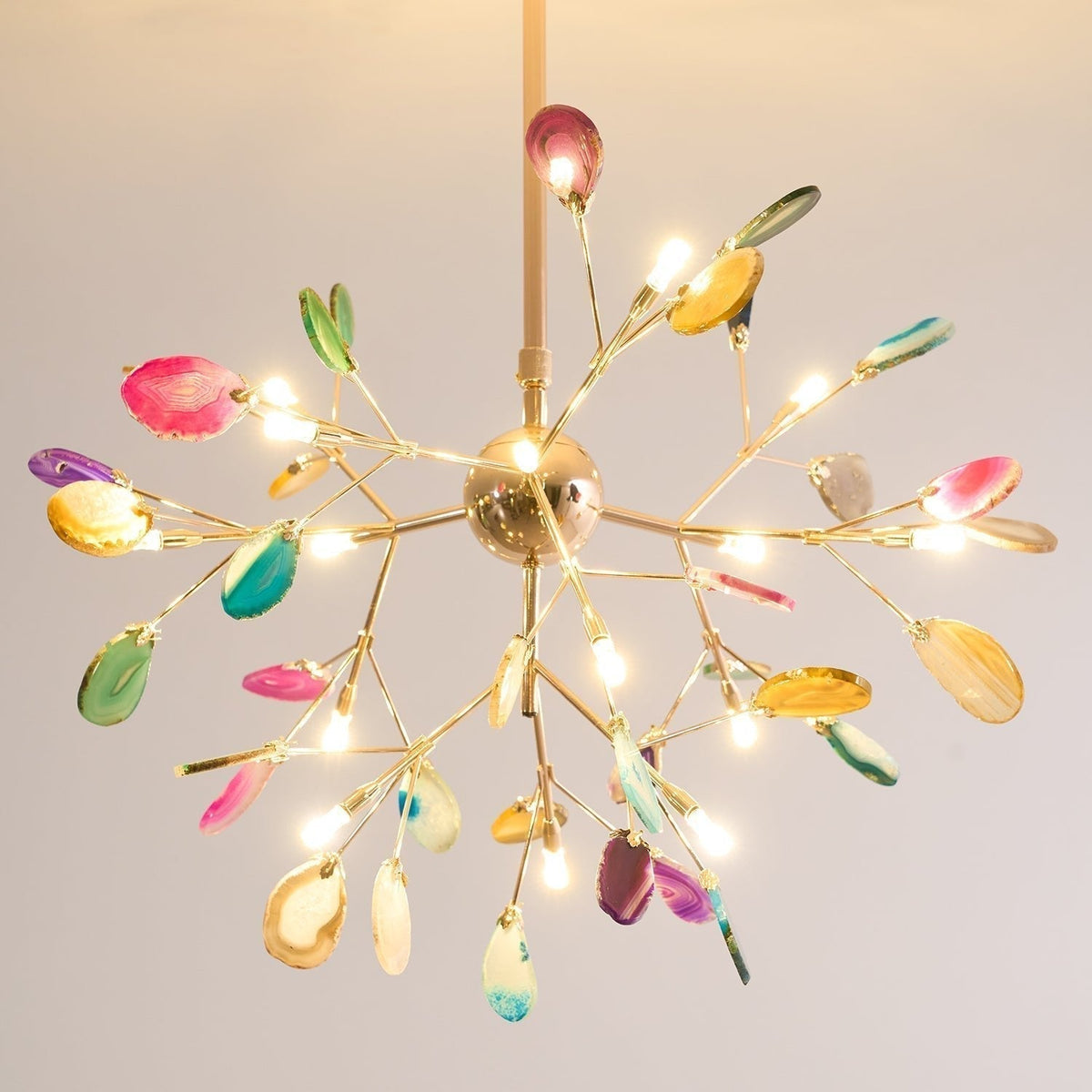 Agate Lustre à Branches Multicolores