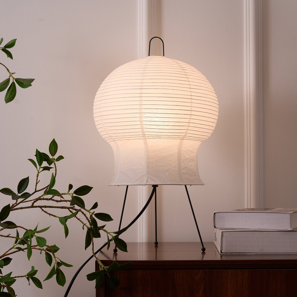 Selanaya Lampe de Table