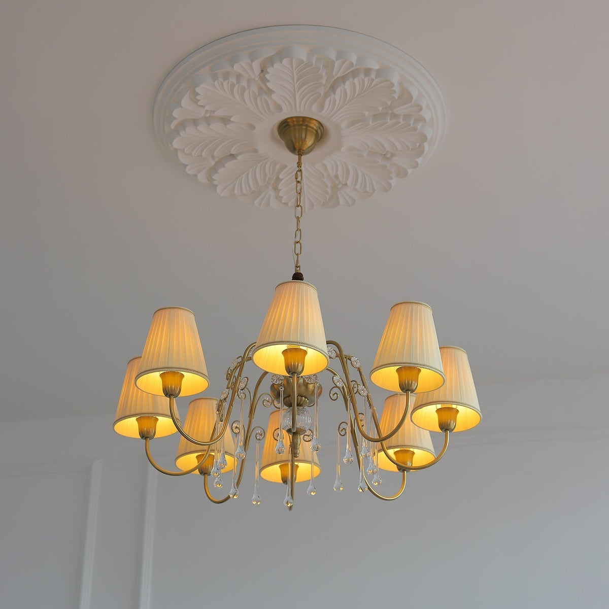 Mondia Lustre