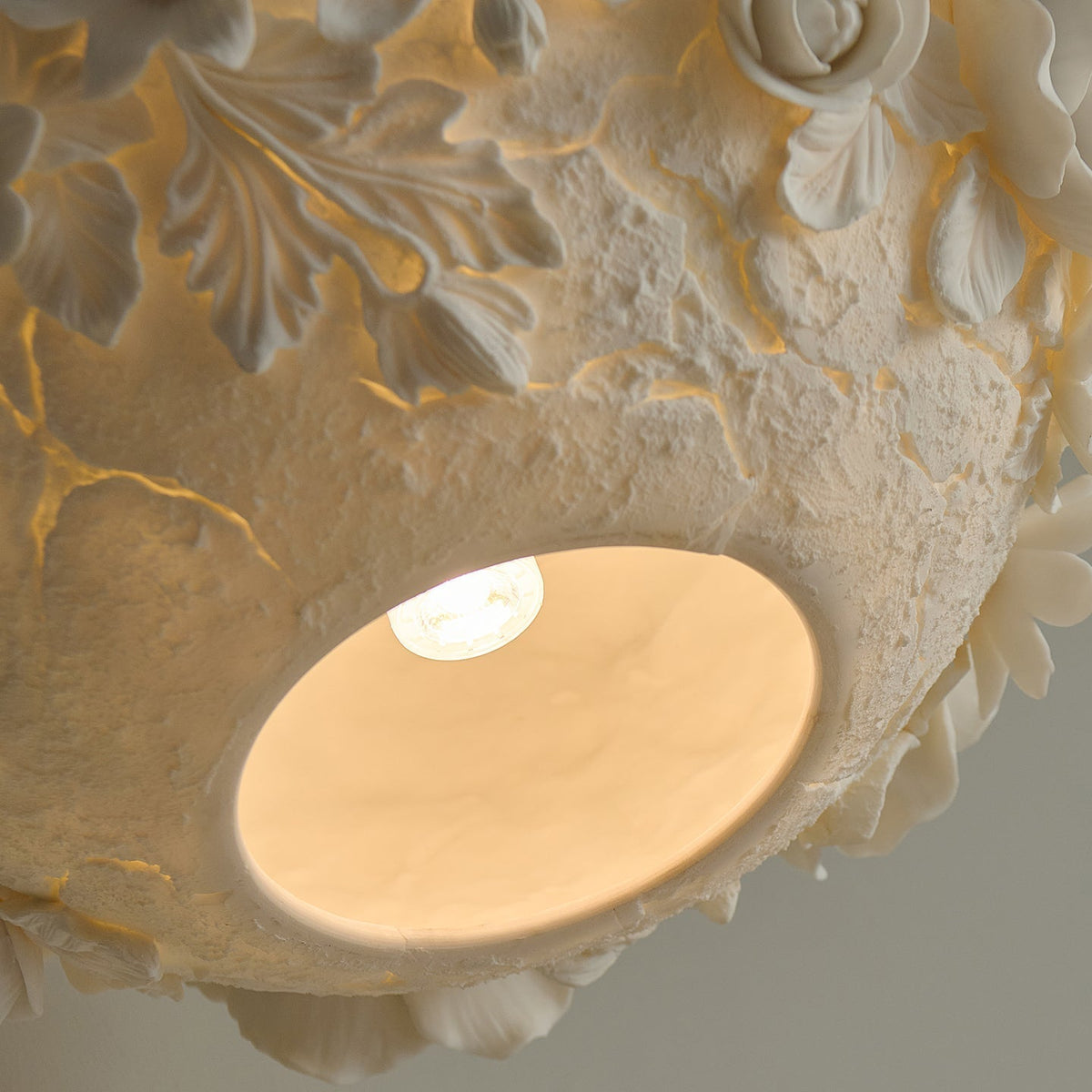Liorineria Suspension