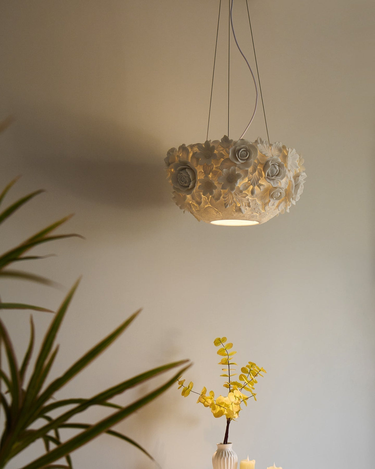 Liorineria Suspension