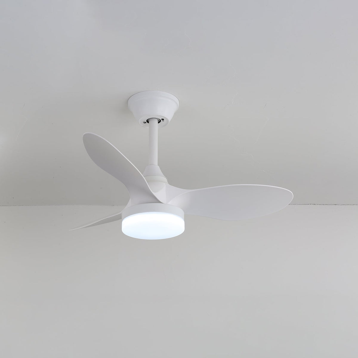 Aelric Ventilateur de Plafond avec Éclairage Moderne