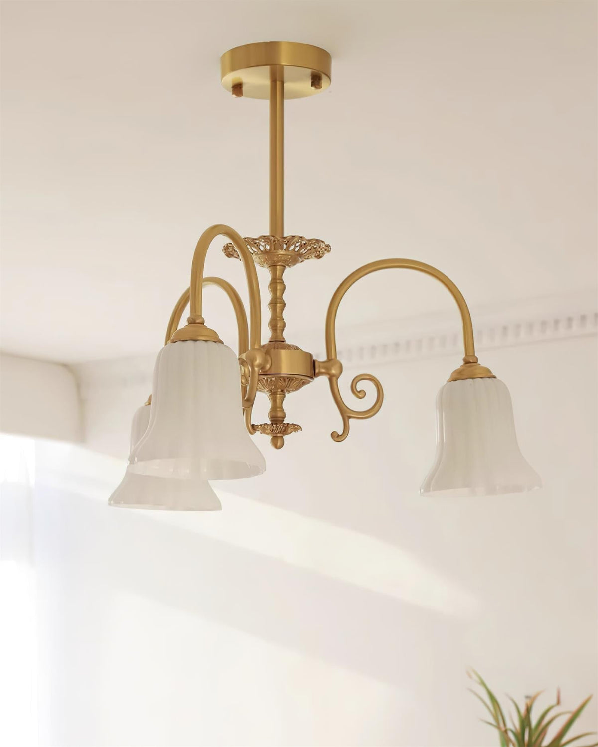 Chandelier with Brass Arms White Glass Shades Opulent Luxe-Neutral Decor