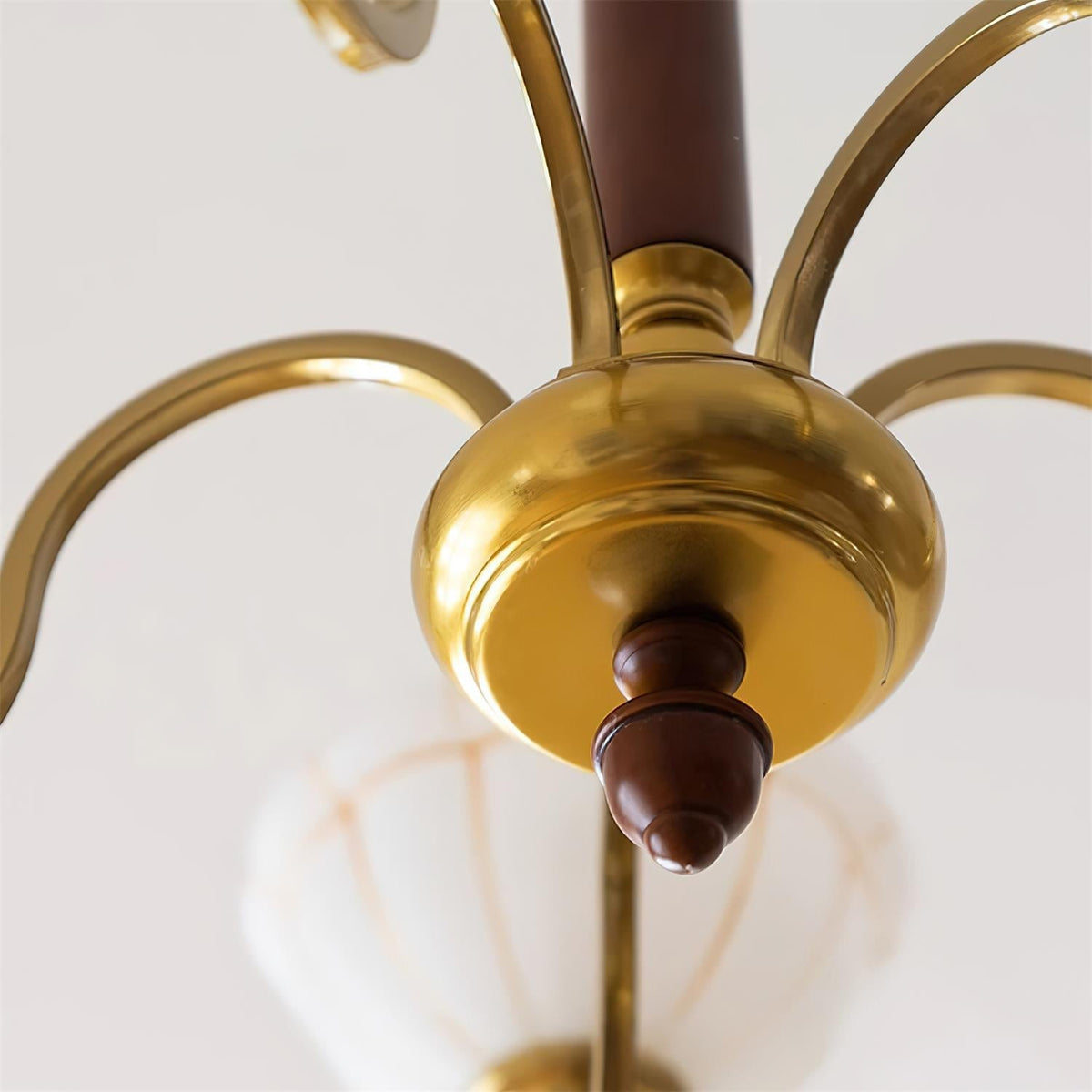 Charlode Lustre
