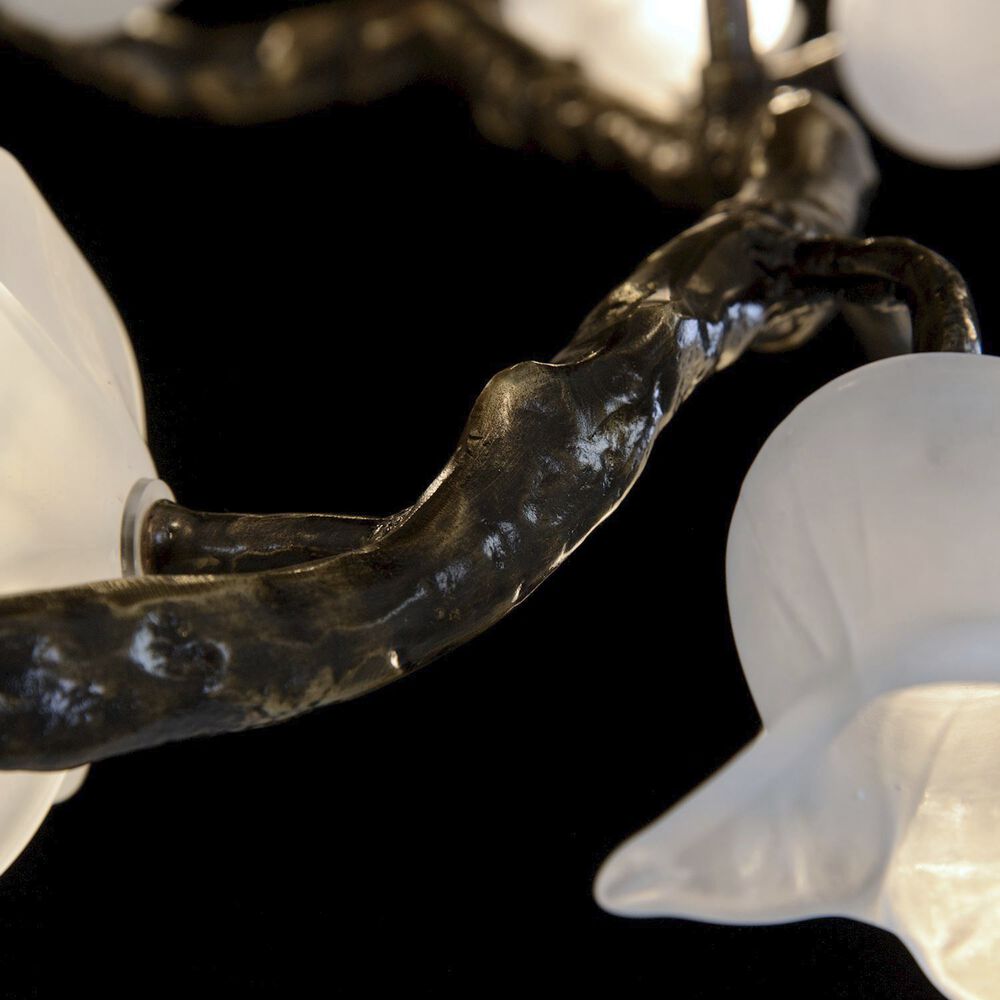 Fiorella Lustre