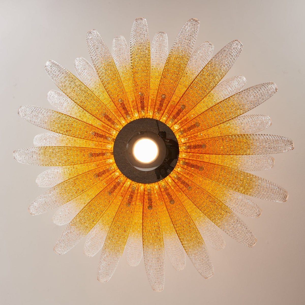 Chrysant Lustre