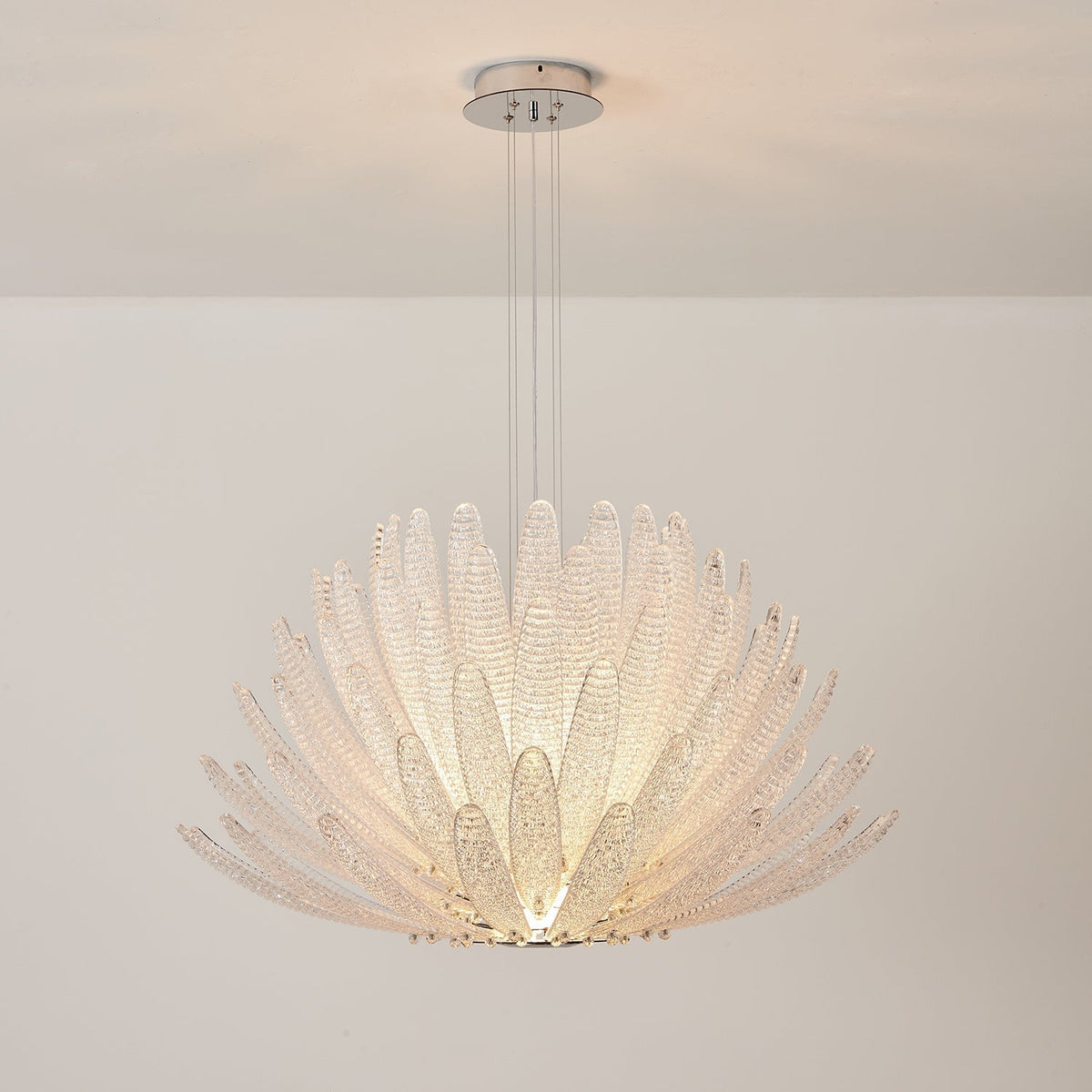 Chrysant Lustre