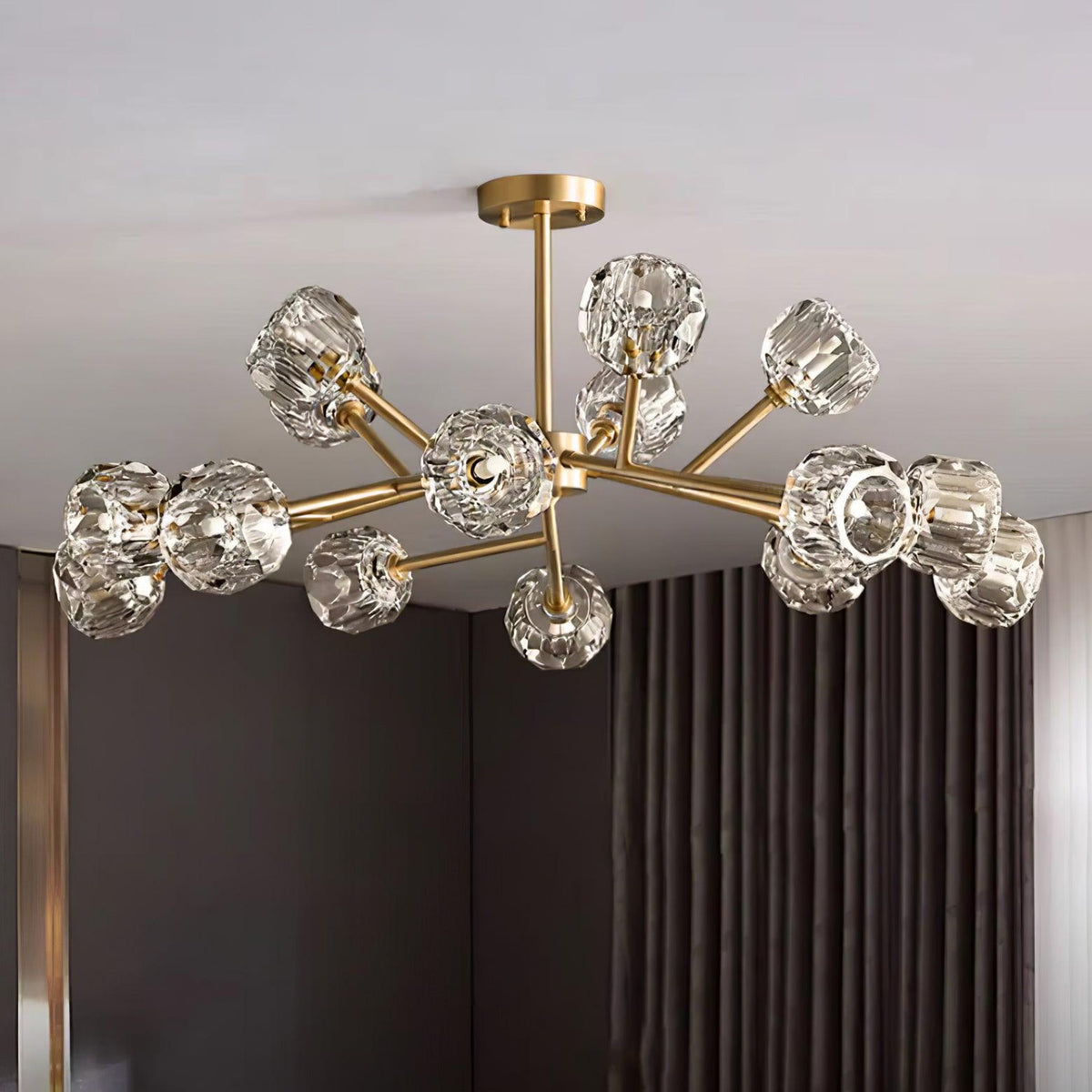 Reniella Lustre