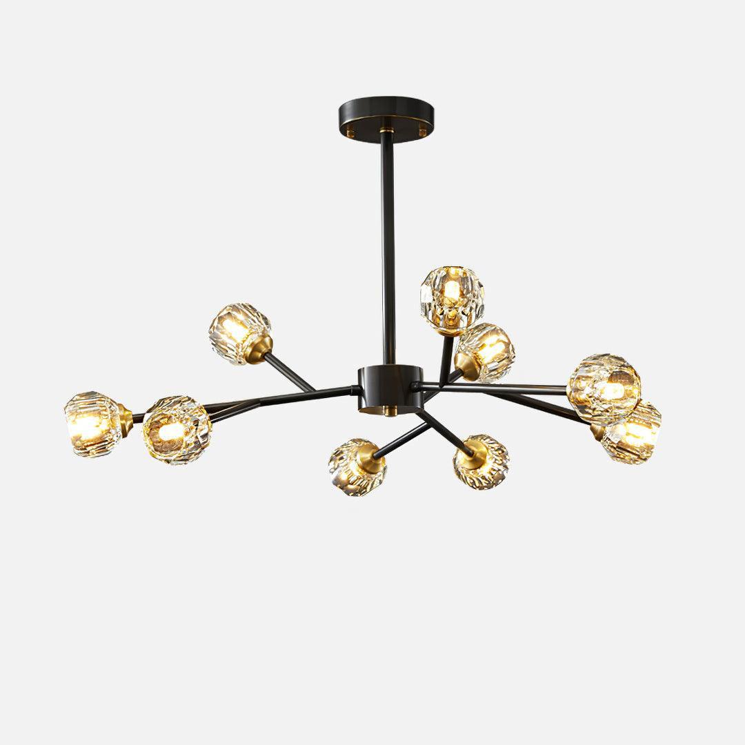Reniella Lustre