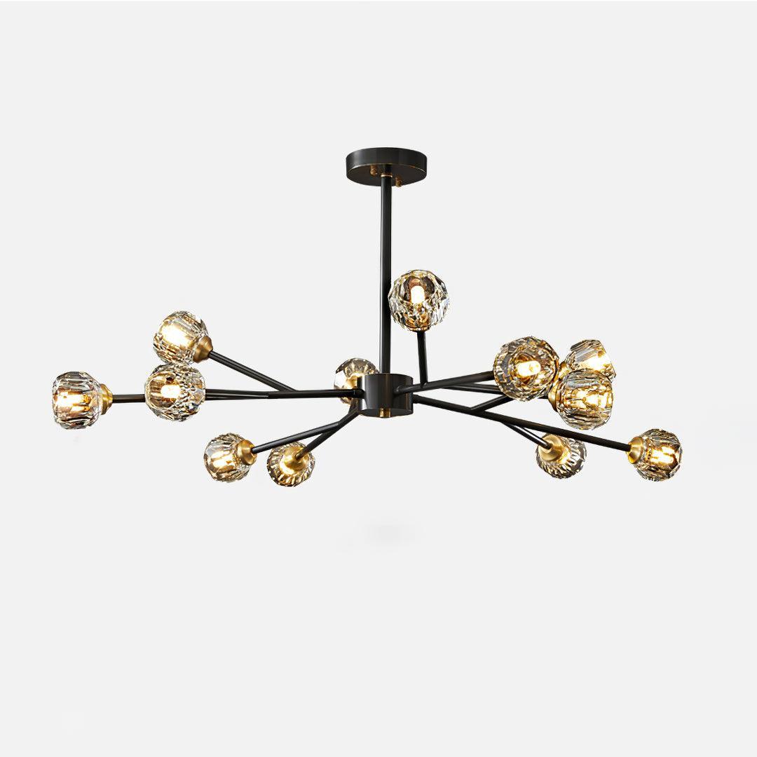 Reniella Lustre