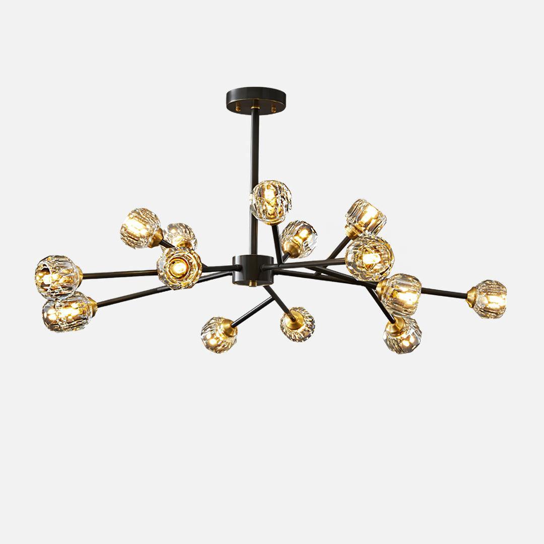 Reniella Lustre
