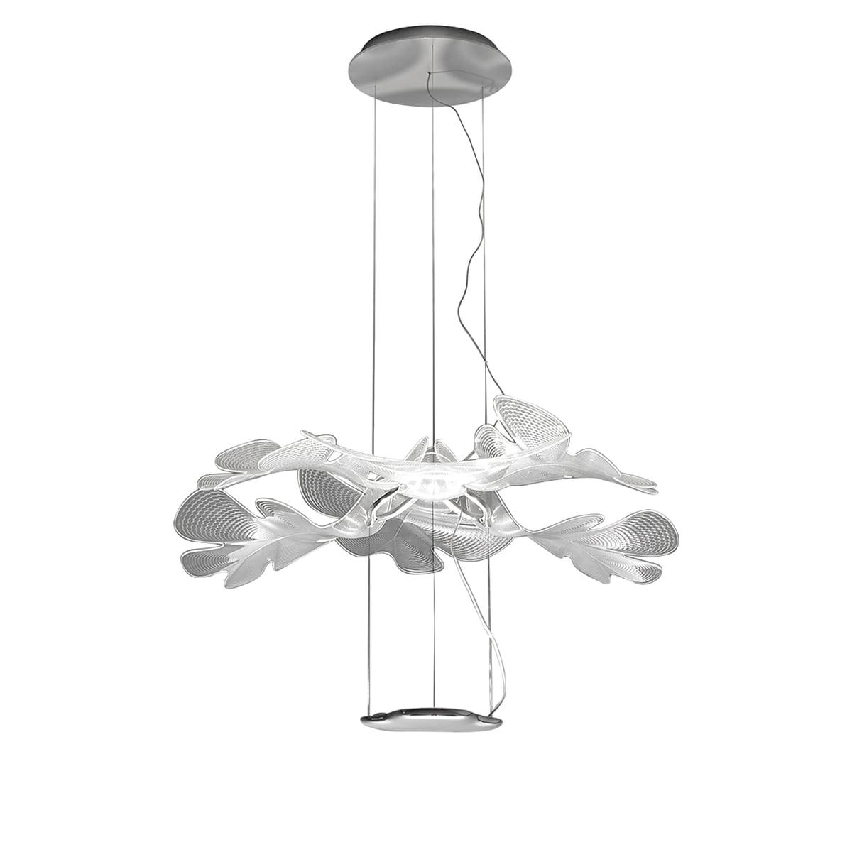 Tennul Suspension