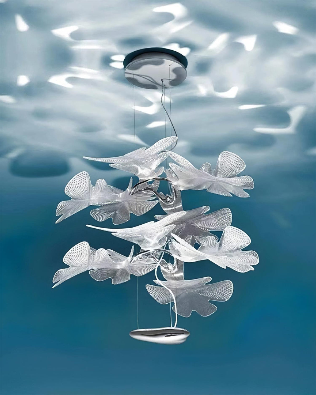Tennul Suspension