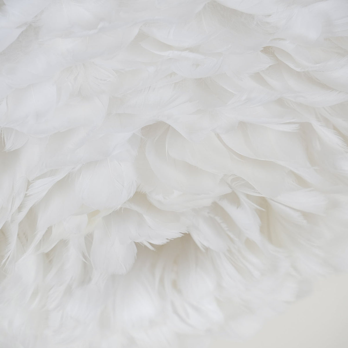 Lively Plafonnier Art Nordic Premium Plumes-Cielum