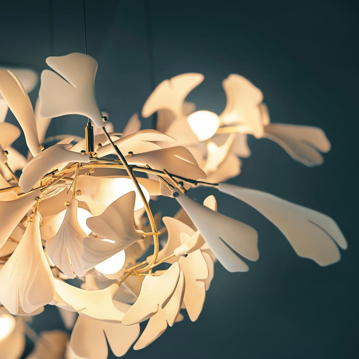 Oriane Lustre