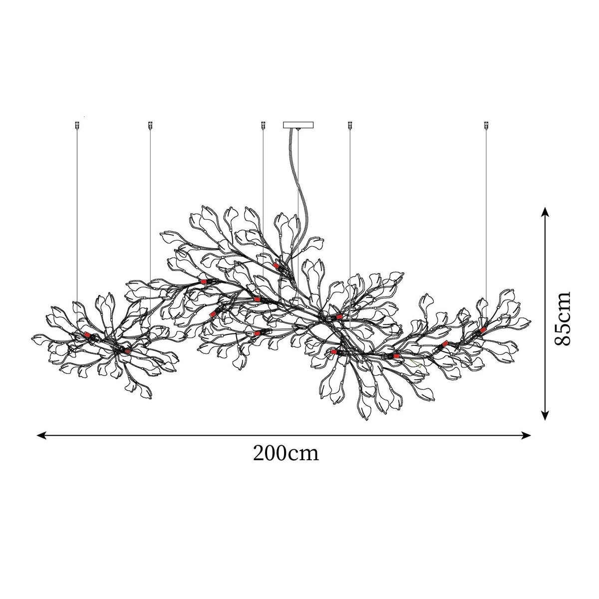 Oriane Lustre