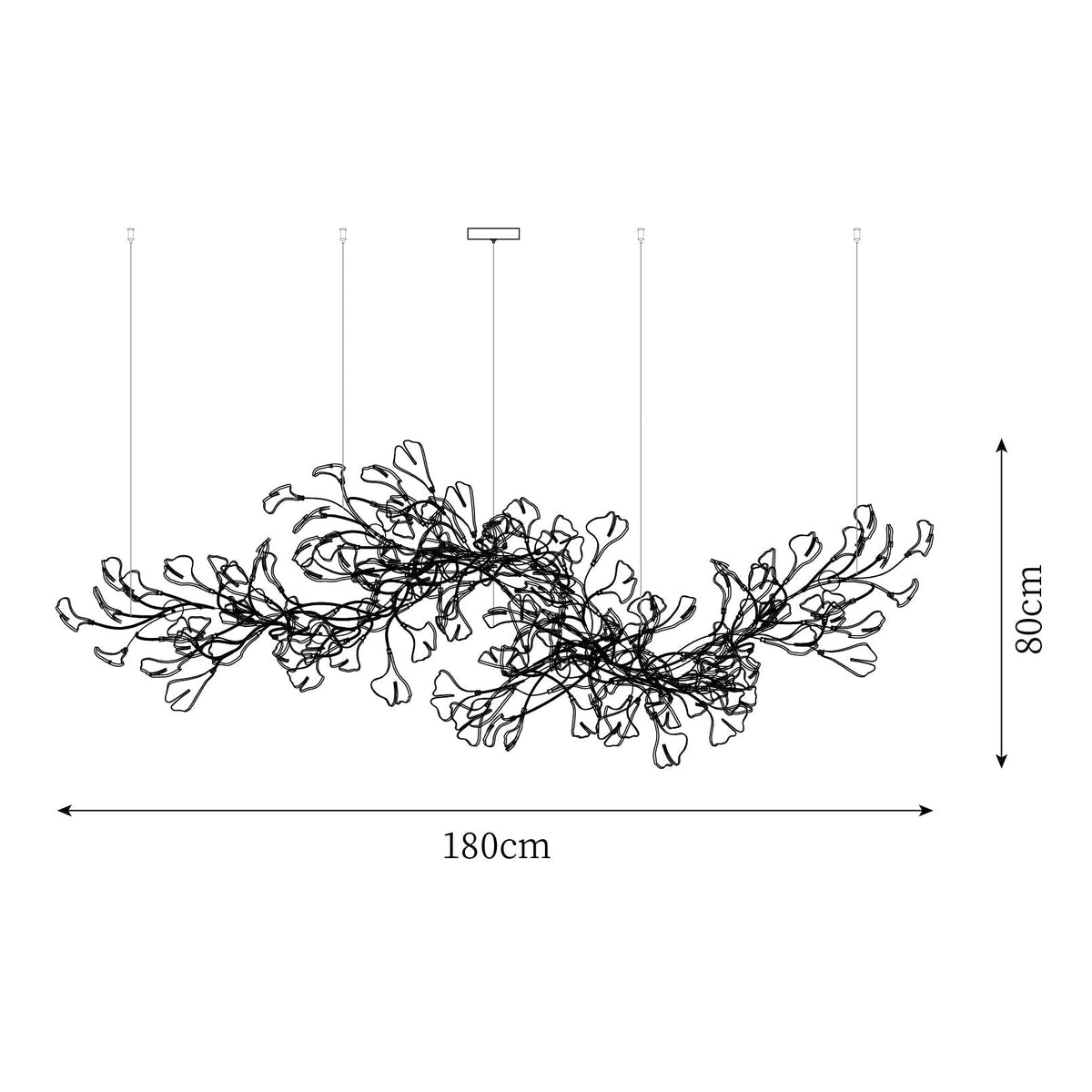 Oriane Lustre