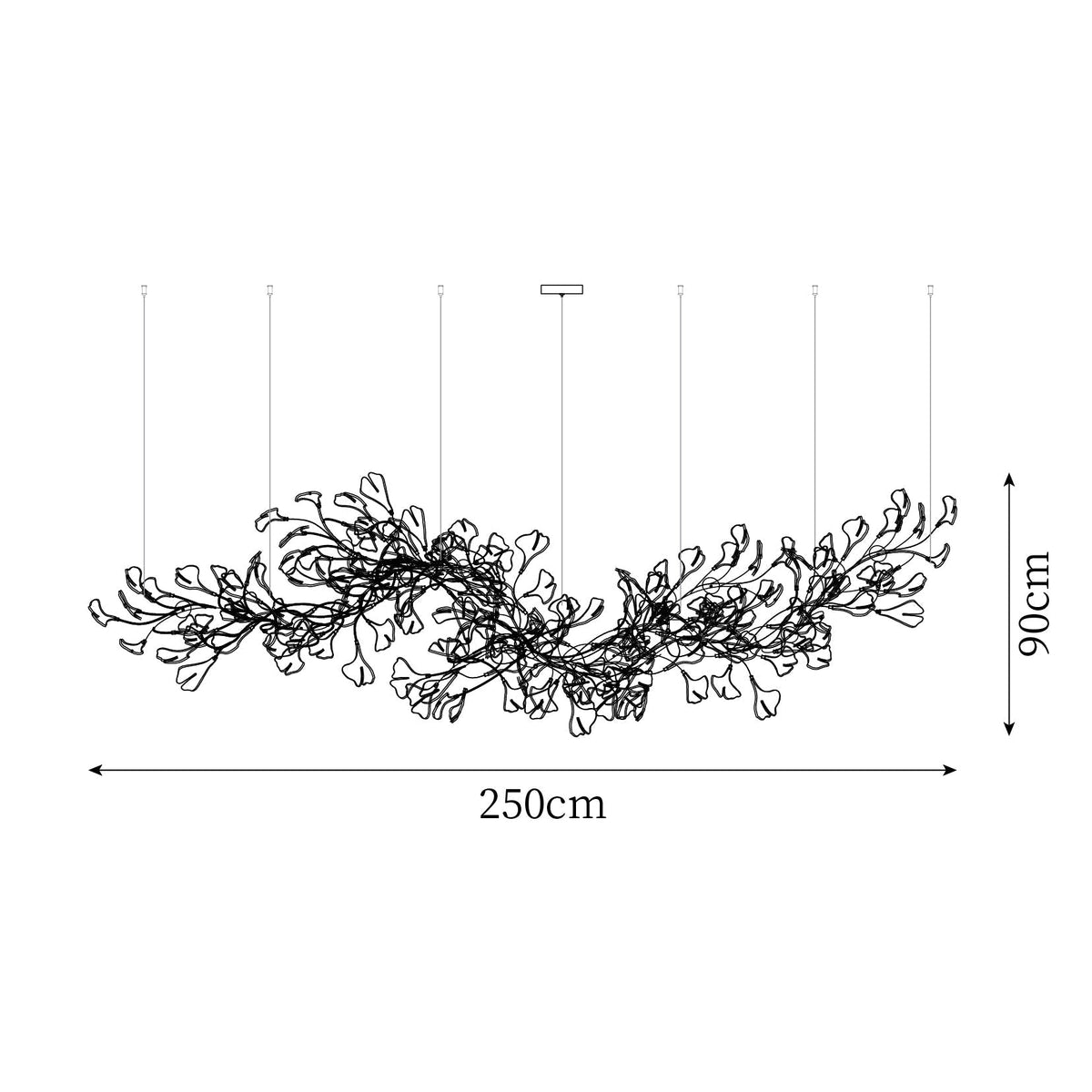 Oriane Lustre